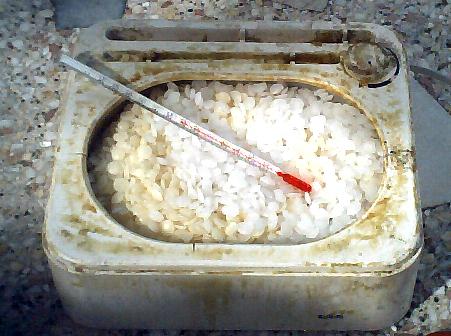 Cera aún sin derretir